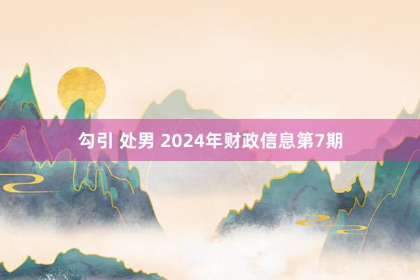 勾引 处男 2024年财政信息第7期