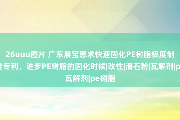 26uuu图片 广东晨宝恳求快速固化PE树脂极度制备标准专利，进步PE树脂的固化时候|改性|滑石粉|瓦解剂|pe树脂