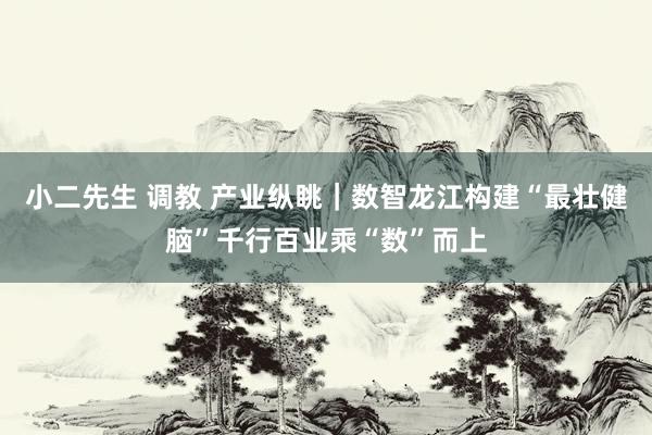 小二先生 调教 产业纵眺｜数智龙江构建“最壮健脑”千行百业乘“数”而上
