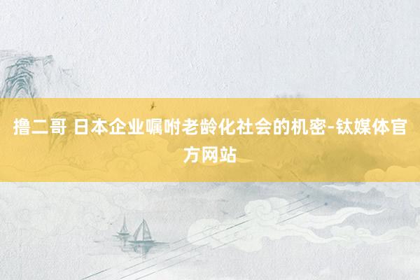 撸二哥 日本企业嘱咐老龄化社会的机密-钛媒体官方网站