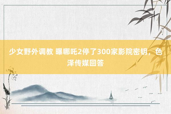少女野外调教 曝哪吒2停了300家影院密钥，色泽传媒回答
