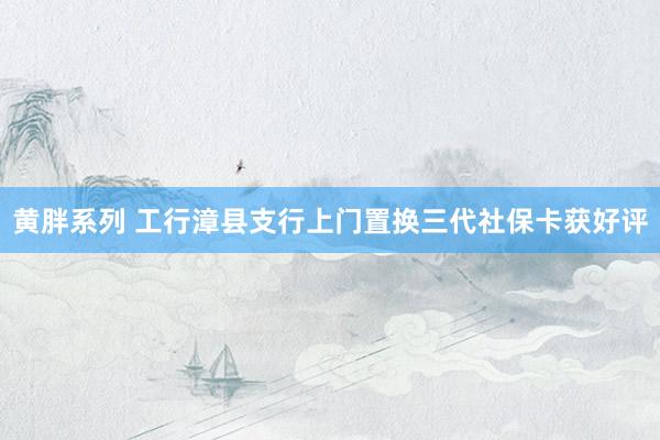 黄胖系列 工行漳县支行上门置换三代社保卡获好评