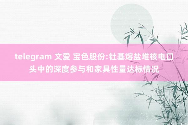 telegram 文爱 宝色股份:钍基熔盐堆核电口头中的深度参与和家具性量达标情况