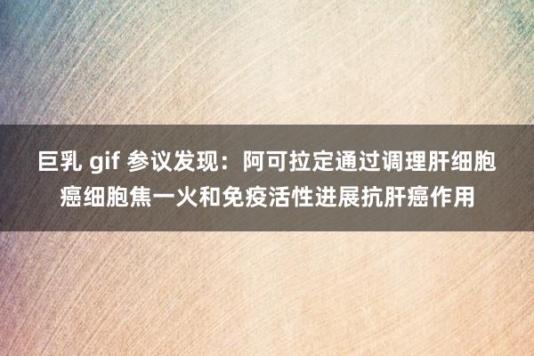 巨乳 gif 参议发现：阿可拉定通过调理肝细胞癌细胞焦一火和免疫活性进展抗肝癌作用