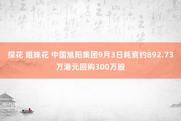 探花 姐妹花 中国旭阳集团9月3日耗资约892.73万港元回购300万股