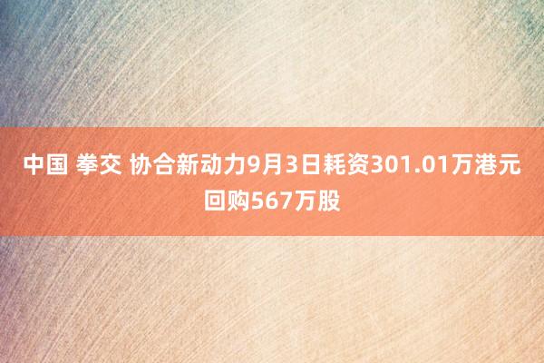中国 拳交 协合新动力9月3日耗资301.01万港元回购567万股