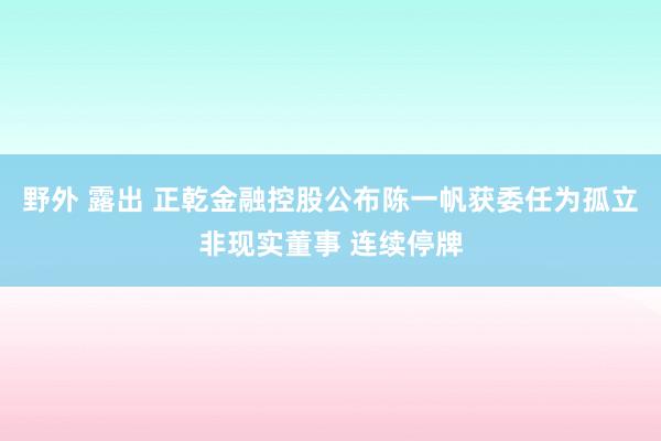 野外 露出 正乾金融控股公布陈一帆获委任为孤立非现实董事 连续停牌