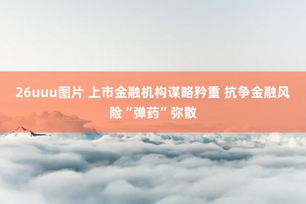 26uuu图片 上市金融机构谋略矜重 抗争金融风险“弹药”弥散