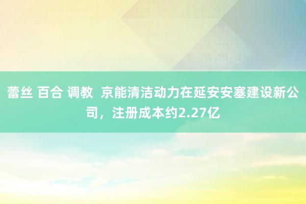 蕾丝 百合 调教  京能清洁动力在延安安塞建设新公司，注册成本约2.27亿