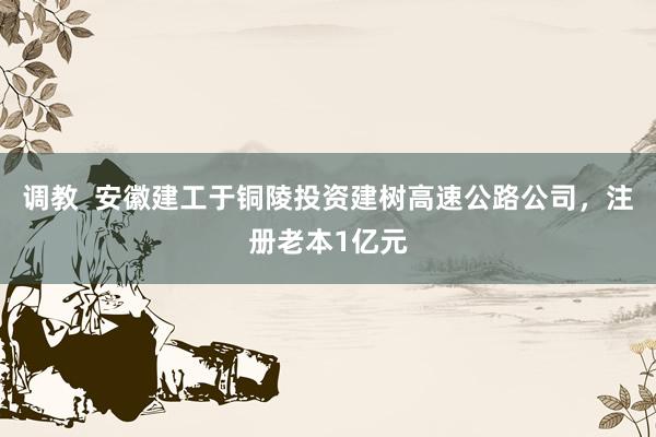 调教  安徽建工于铜陵投资建树高速公路公司，注册老本1亿元
