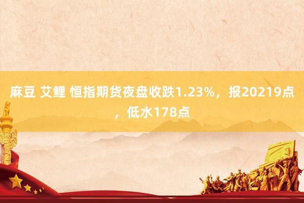 麻豆 艾鲤 恒指期货夜盘收跌1.23%，报20219点，低水178点